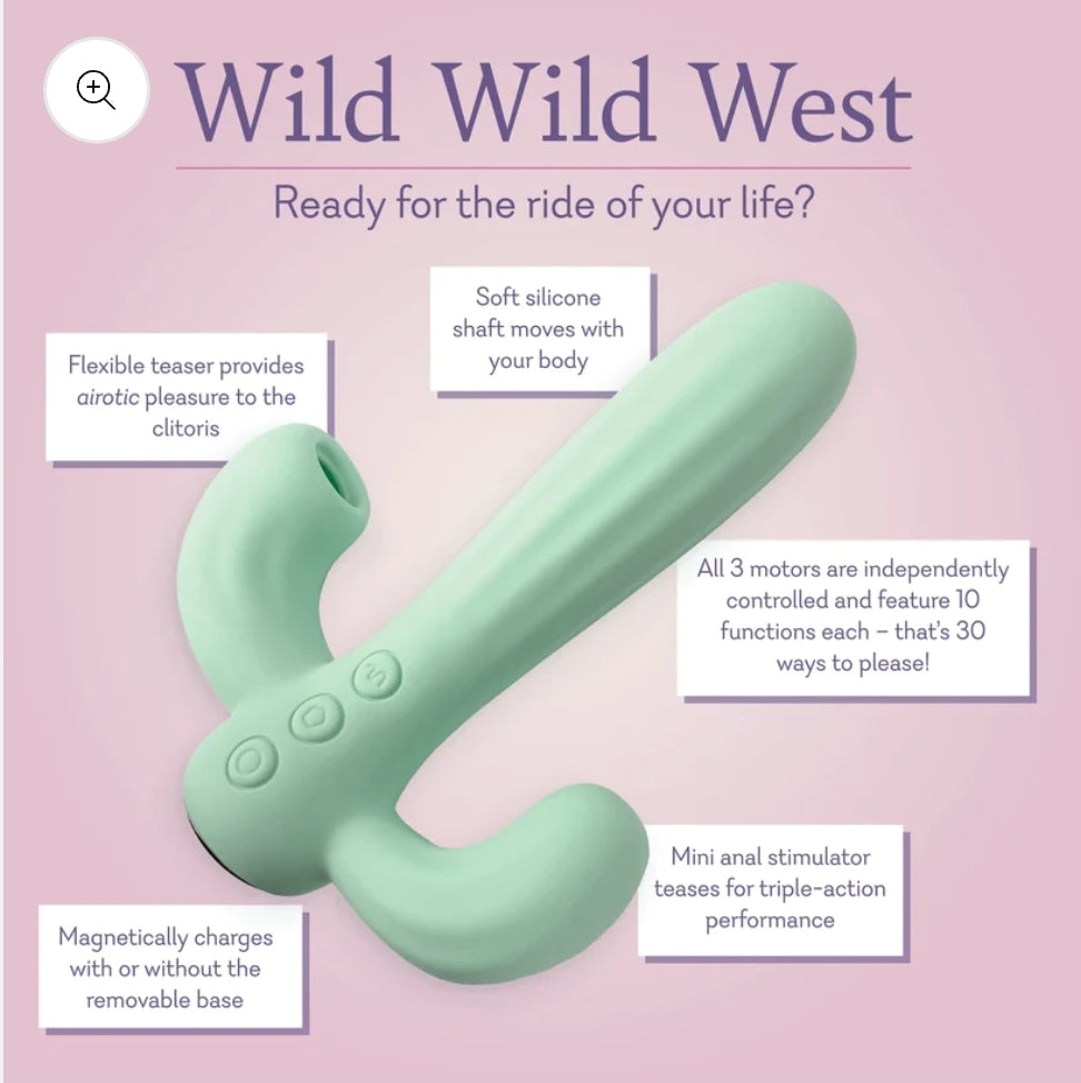 Wild Wild West - NEW!