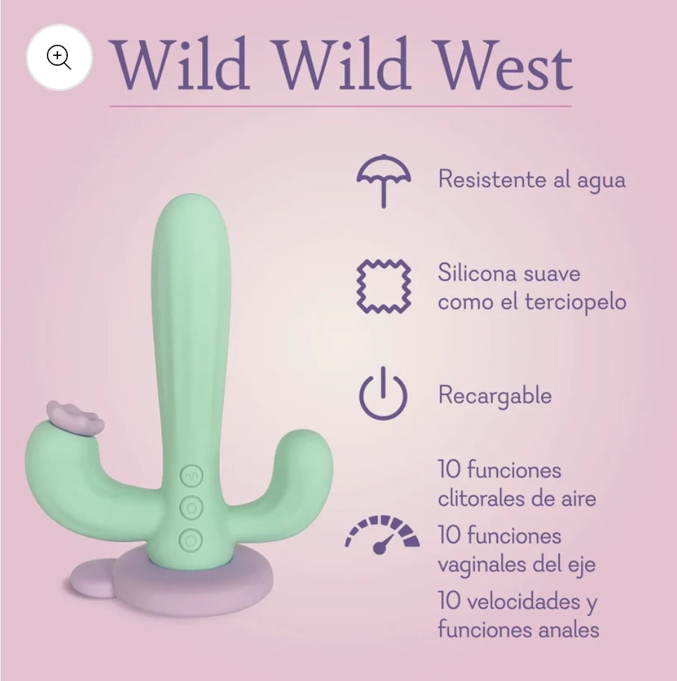 Wild Wild West - NEW!