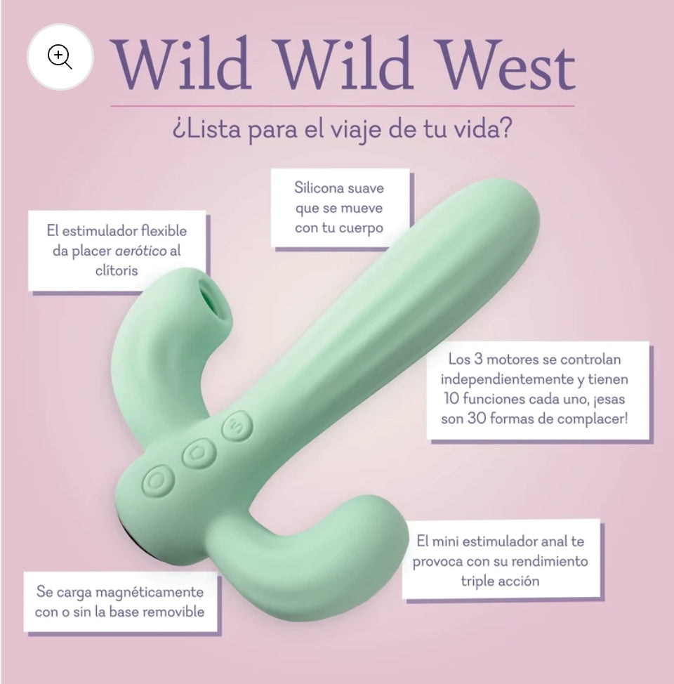 Wild Wild West - NEW!